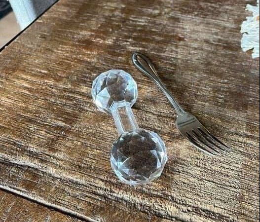 Found it in my in-laws drawer where they had butter dishes etc What’s this?? Fork there for scale.