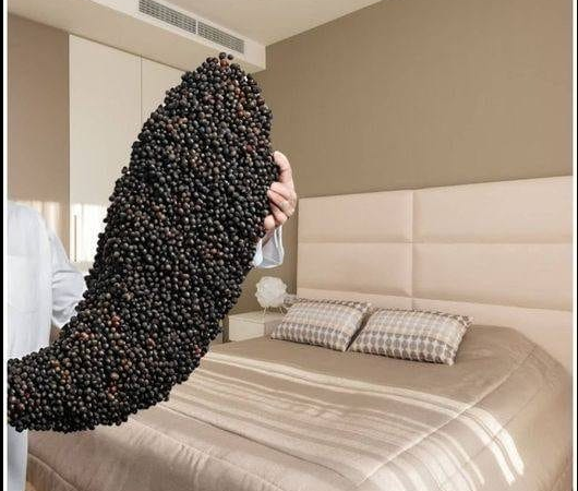 Black Pepper Under Your Bed: A Tradition Worth Exploring