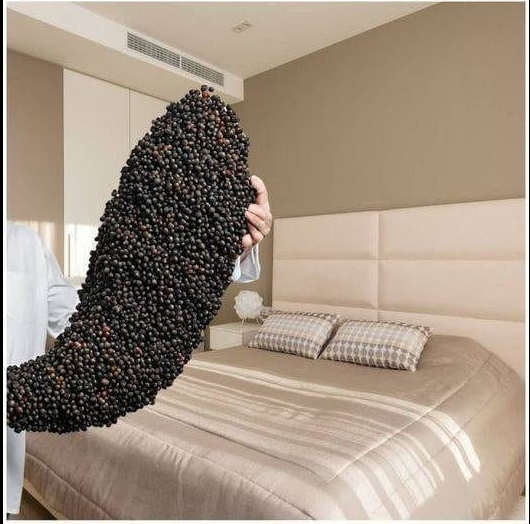 Black Pepper Under Your Bed: A Tradition Worth Exploring