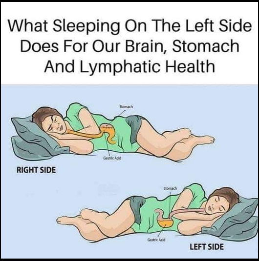 The Benefits of Sleeping on the Left Side for Brain, Stomach, and Glympathic Health