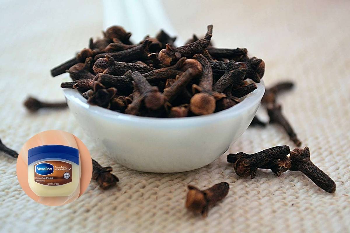 Benefits of Using Cloves with Vaseline for Skincare