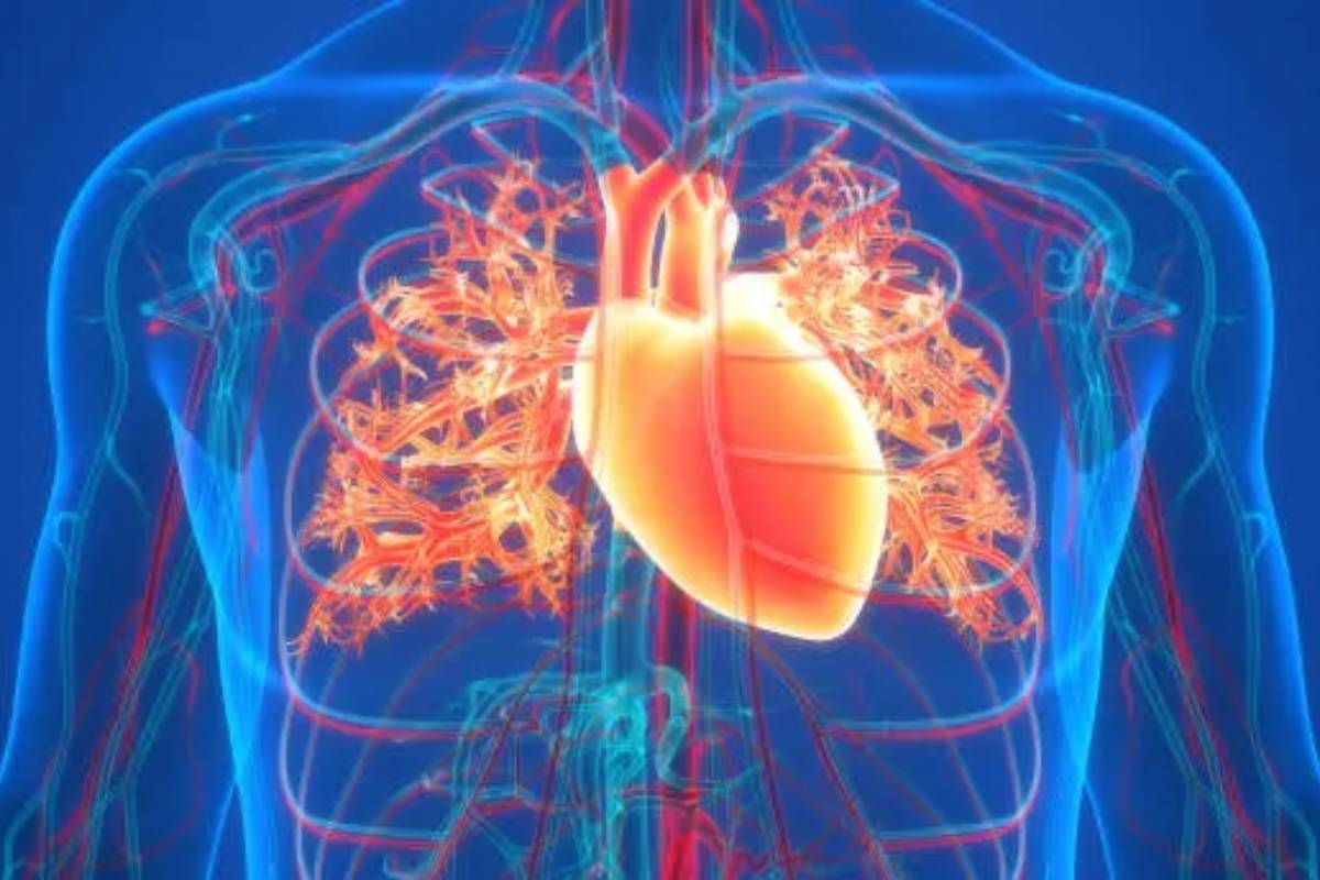 Cardiovascular Diseases