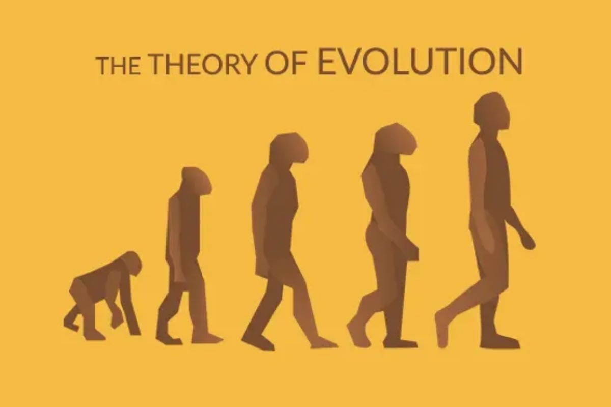 The Theory of Evolution