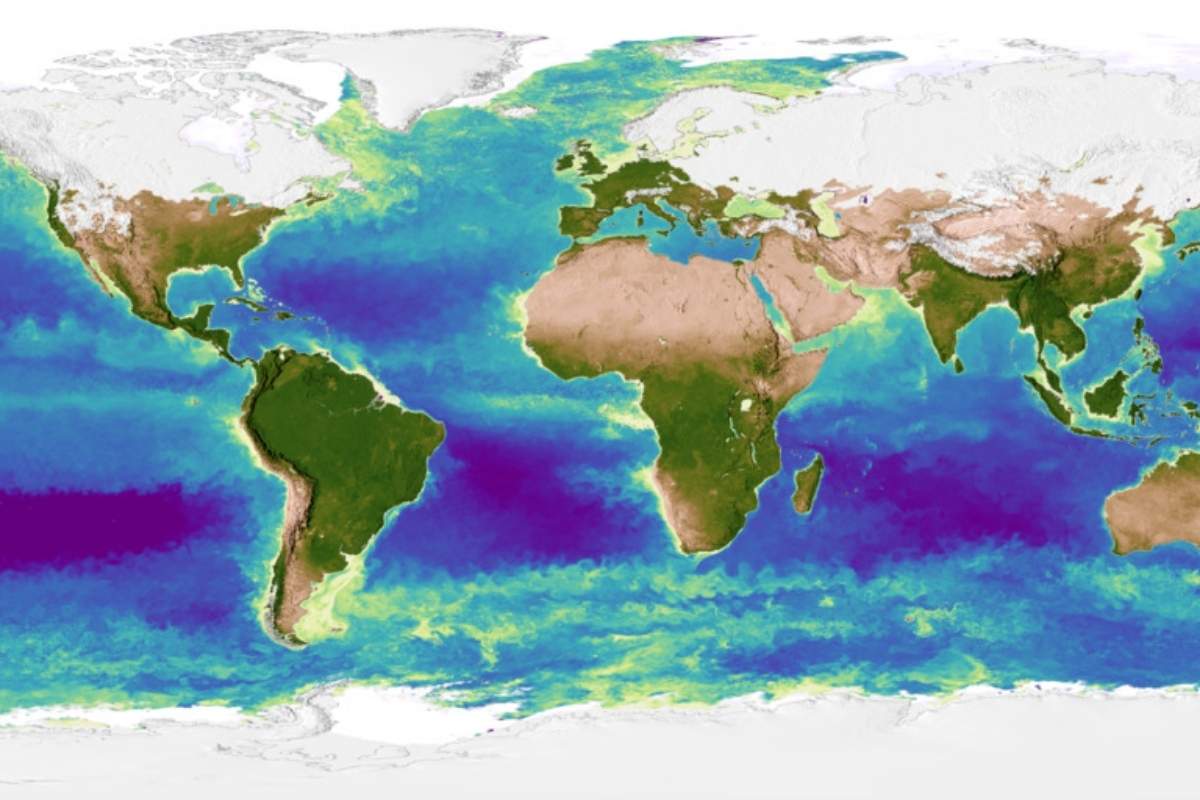 The Science Behind Rising Seas