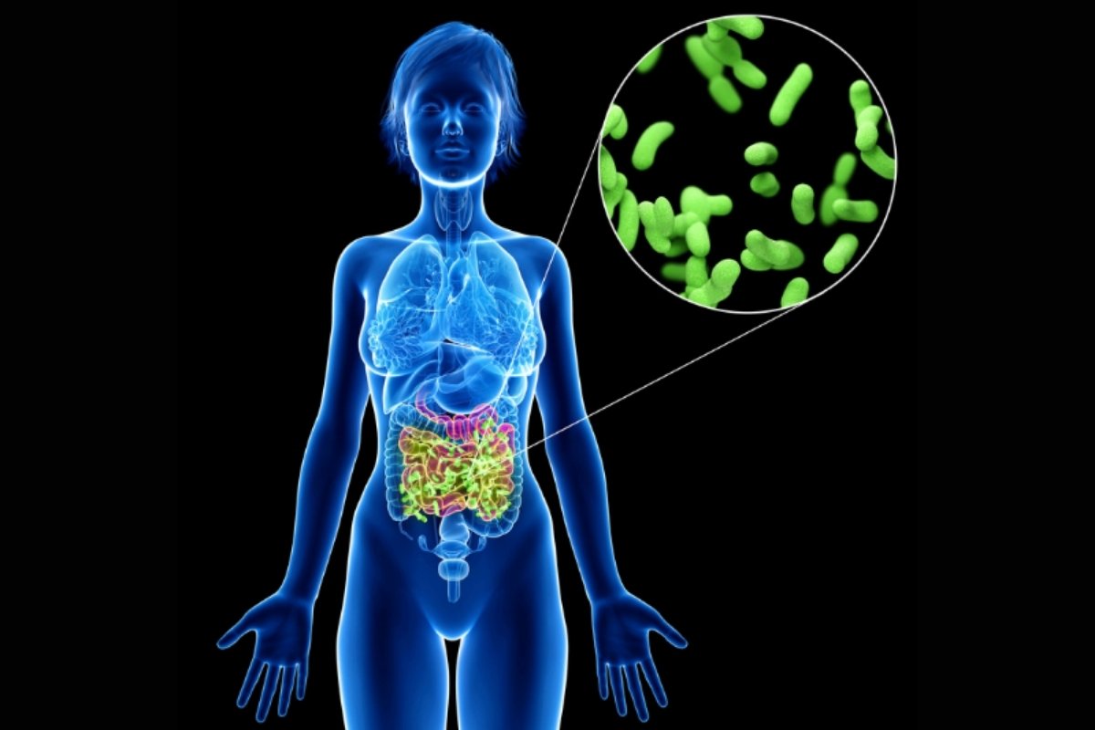 What Is the Gut Microbiome?