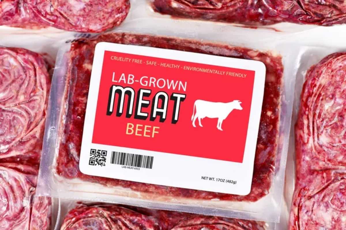 The Rise of Lab-Grown Meat