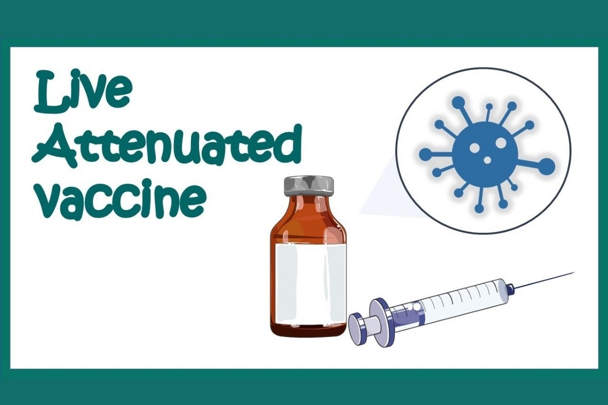 Live Attenuated Vaccines