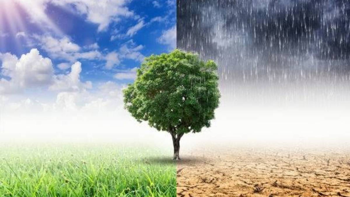 Understanding Climate Change: Causes, Effects, and Solutions