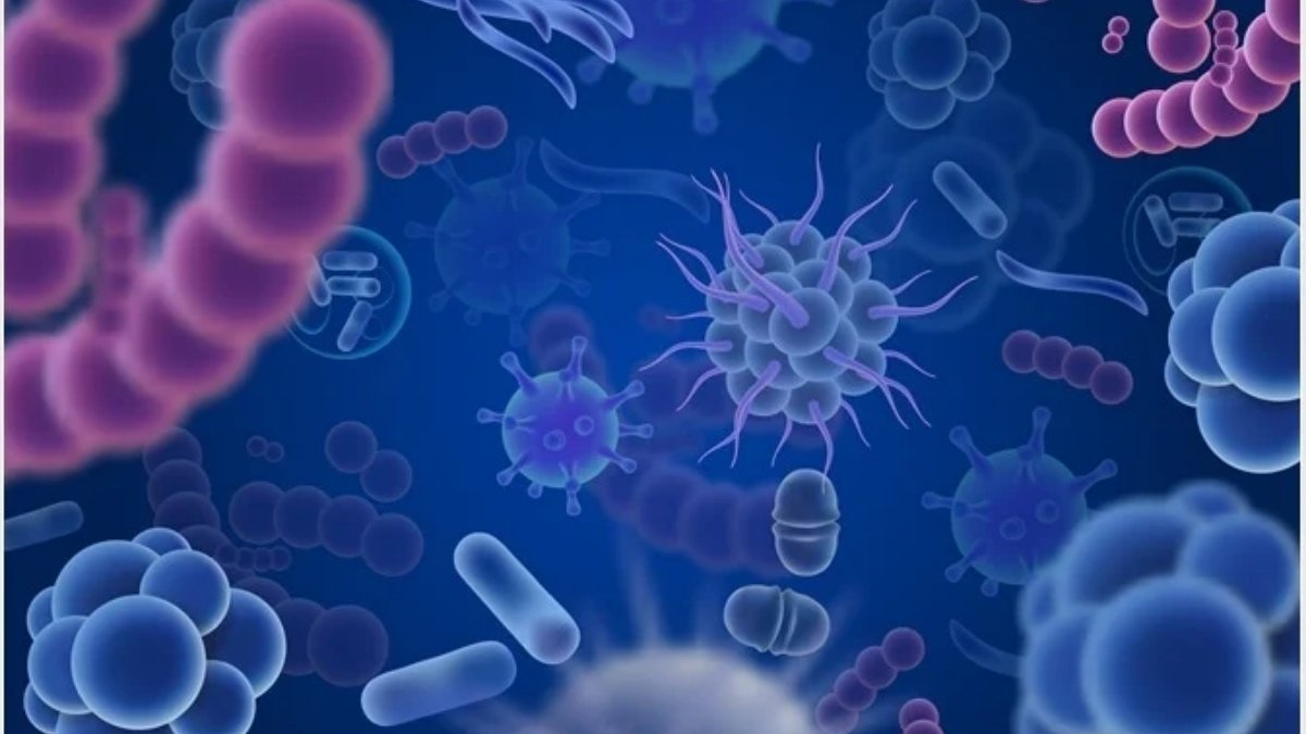 The Power of Microbiology: How Tiny Organisms Impact Our Lives