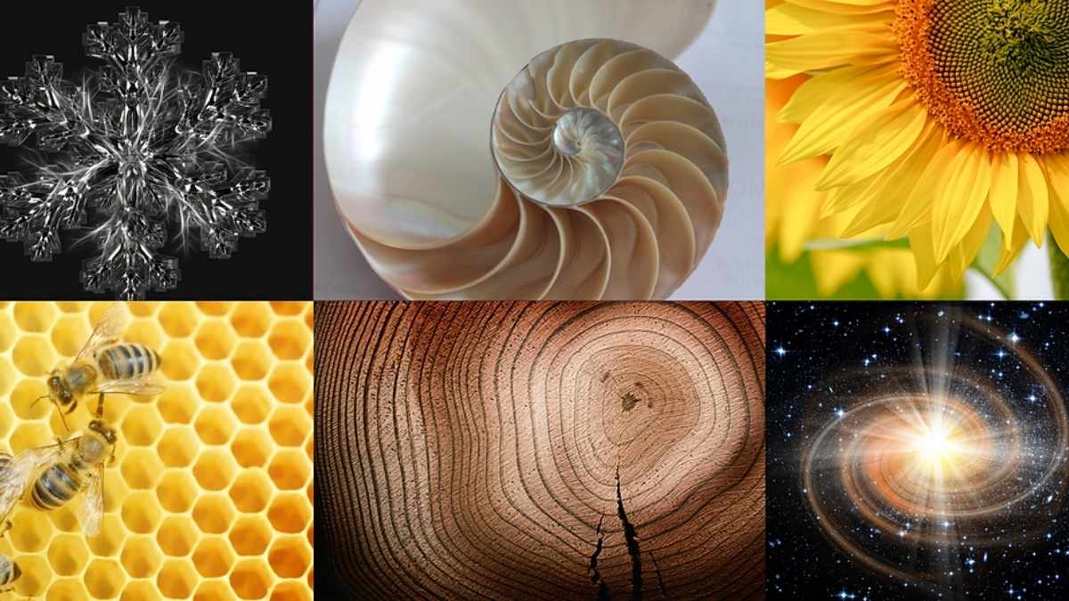 The Hidden Symmetry of the Universe: Unlocking Nature’s Perfect Code