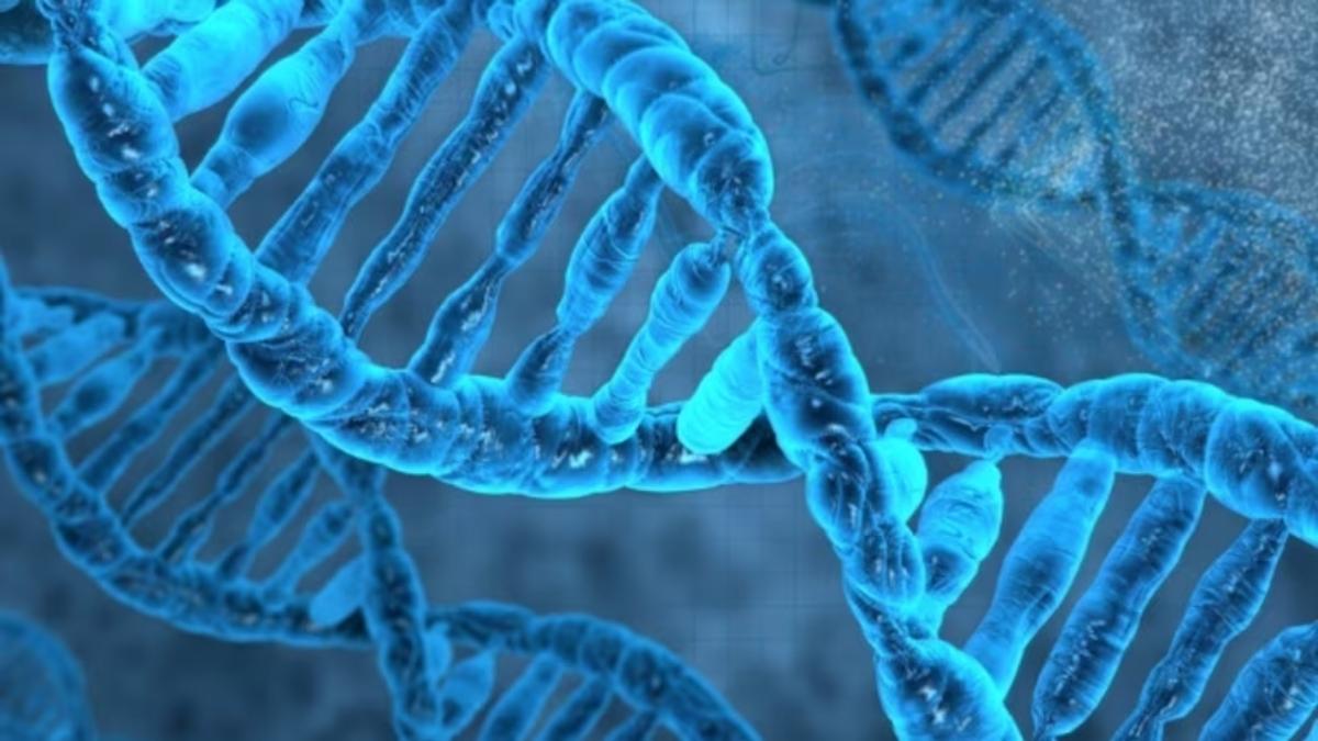 Dark DNA: The Missing Genetic Code That Could Rewrite Evolution